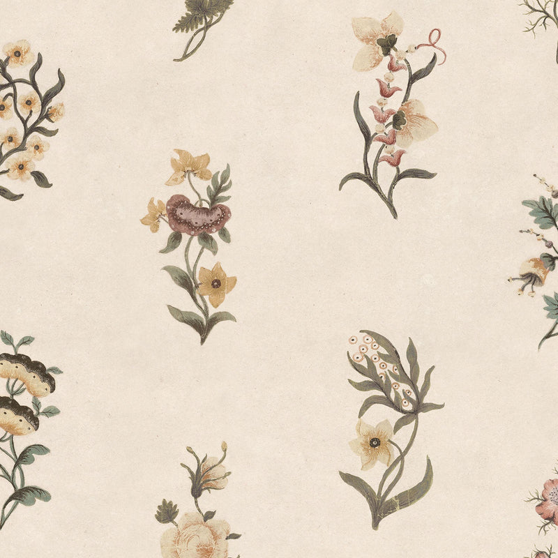 S10609 Honey Victoria Herbarium Mural by Sandberg