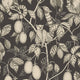 Graphite Elliot Familjen Wallpaper by Sandberg