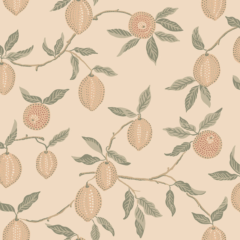 S10667 Limone Blush Wallpaper by Sandberg