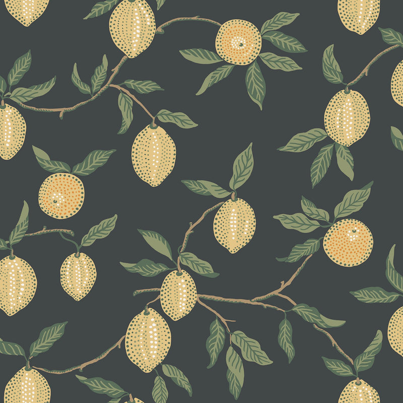 S10668 Limone Charcoal Wallpaper by Sandberg