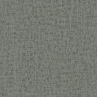 SA524025 Engraved Slate by Wallpaper by Design ID