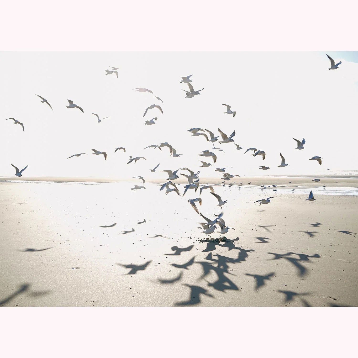 SEAS201531011 Houlgate Seaside Medium Wallpanel by Casadeco