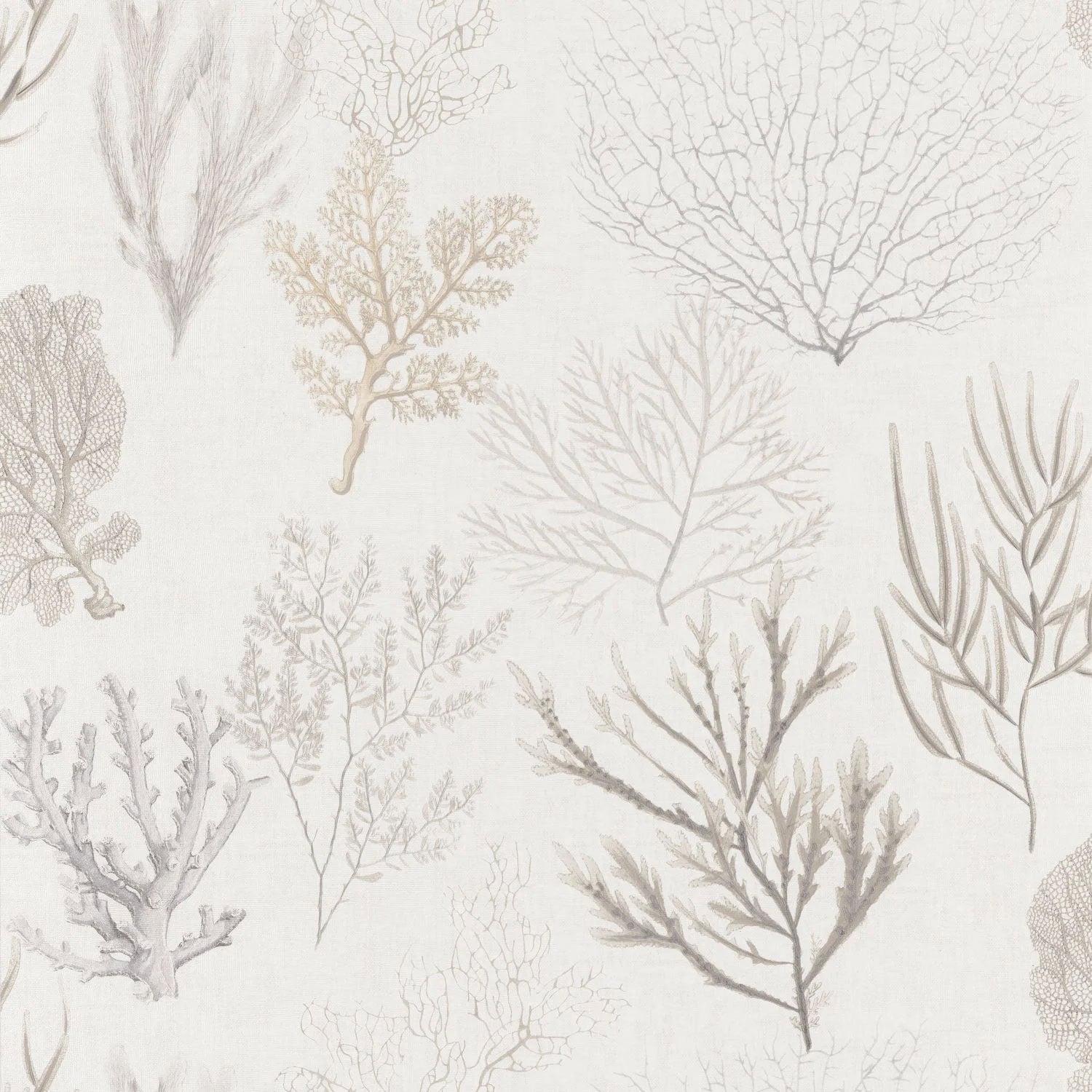 SEAS83971120 Corail Seaside Wallpaper by Casadeco