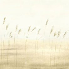 SENT200082703 Jonc Des Dunes Medium Panel Sentier Des Dunes Wallpaper by Casadeco