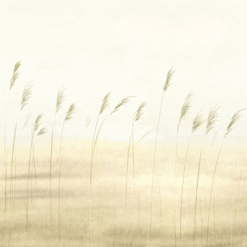 SENT200082704 Jonc Des Dunes Large Panel Sentier Des Dunes Wallpaper by Casadeco