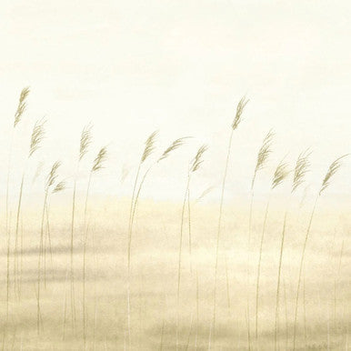 Jonc Des Dunes Large Panel Sentier Des Dunes Wallpaper by Casadeco