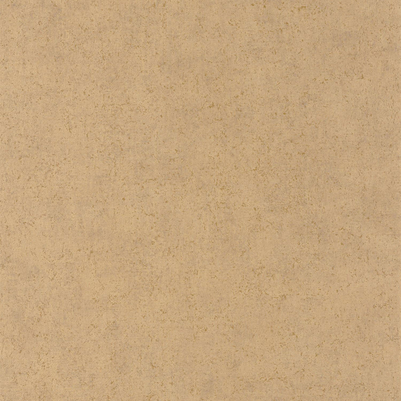 SENT88091328 Mur A La Chaux Sentier Des Dunes Wallpaper by Casadeco