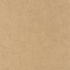 SENT88091328 Mur A La Chaux Sentier Des Dunes Wallpaper by Casadeco
