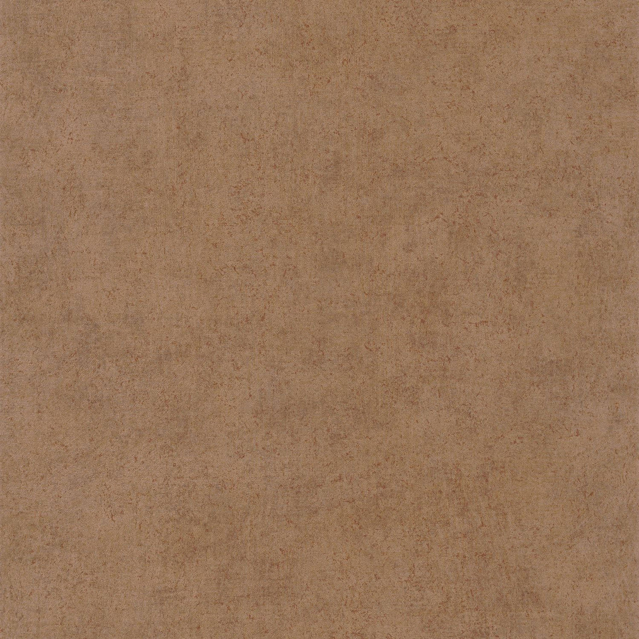 SENT88092540 Mur A La Chaux Sentier Des Dunes Wallpaper by Casadeco