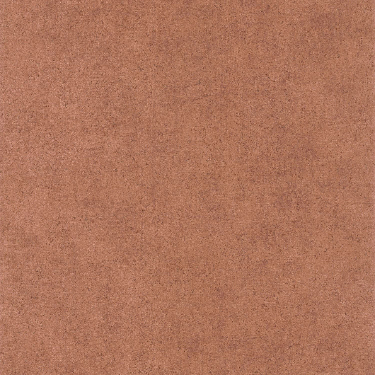 SENT88093408 Mur A La Chaux Sentier Des Dunes Wallpaper by Casadeco