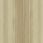 SH00640 Soft Stripe Sahara Wallpaper by Sketch Twenty 3