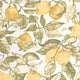 Lemon Tree Soliflore Wallpaper by Casadeco