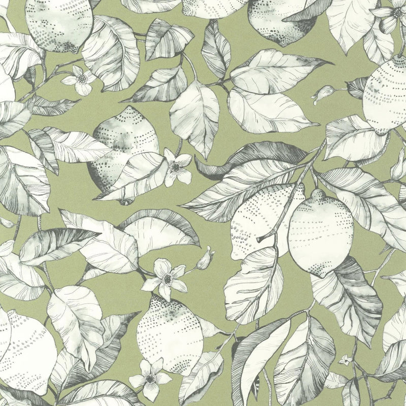 SOLI200277313 Lemon Tree Soliflore Wallpaper by Casadeco