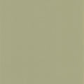 Pigments Argile Verte Wallpaper by Casadeco