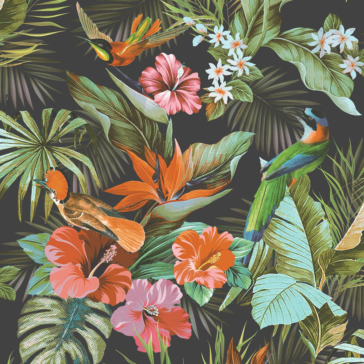 Paradise Birds Black Multi Vasari Wallpaper by Rasch