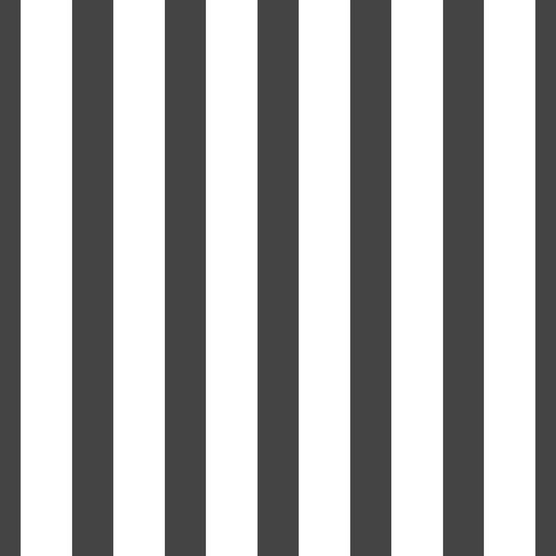 SS21231 Thin Stripe Black Style Sisters Wallpaper by Galerie