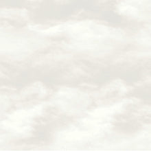 SS21248 Cloud Natural Style Sisters Wallpaper by Galerie