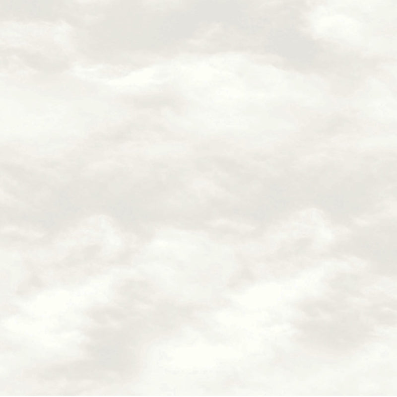 SS21248 Cloud Natural Style Sisters Wallpaper by Galerie