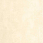 STND80832002 Stone 2 Wallpaper by Casadeco