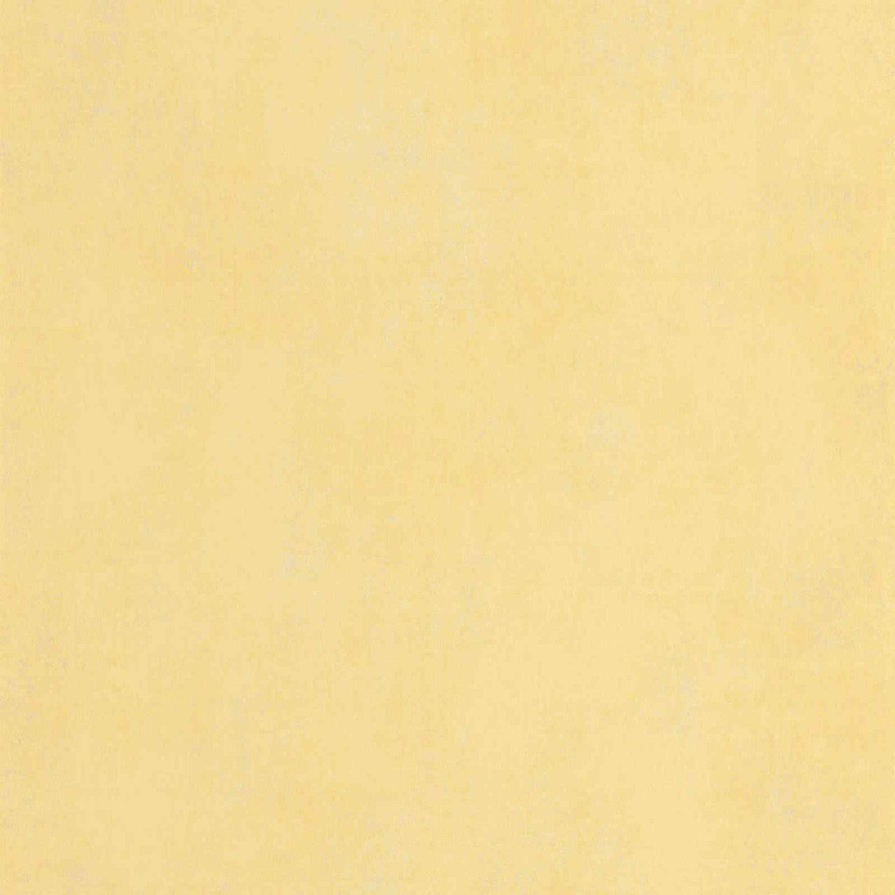 STND80832109 Stone 2 Wallpaper by Casadeco