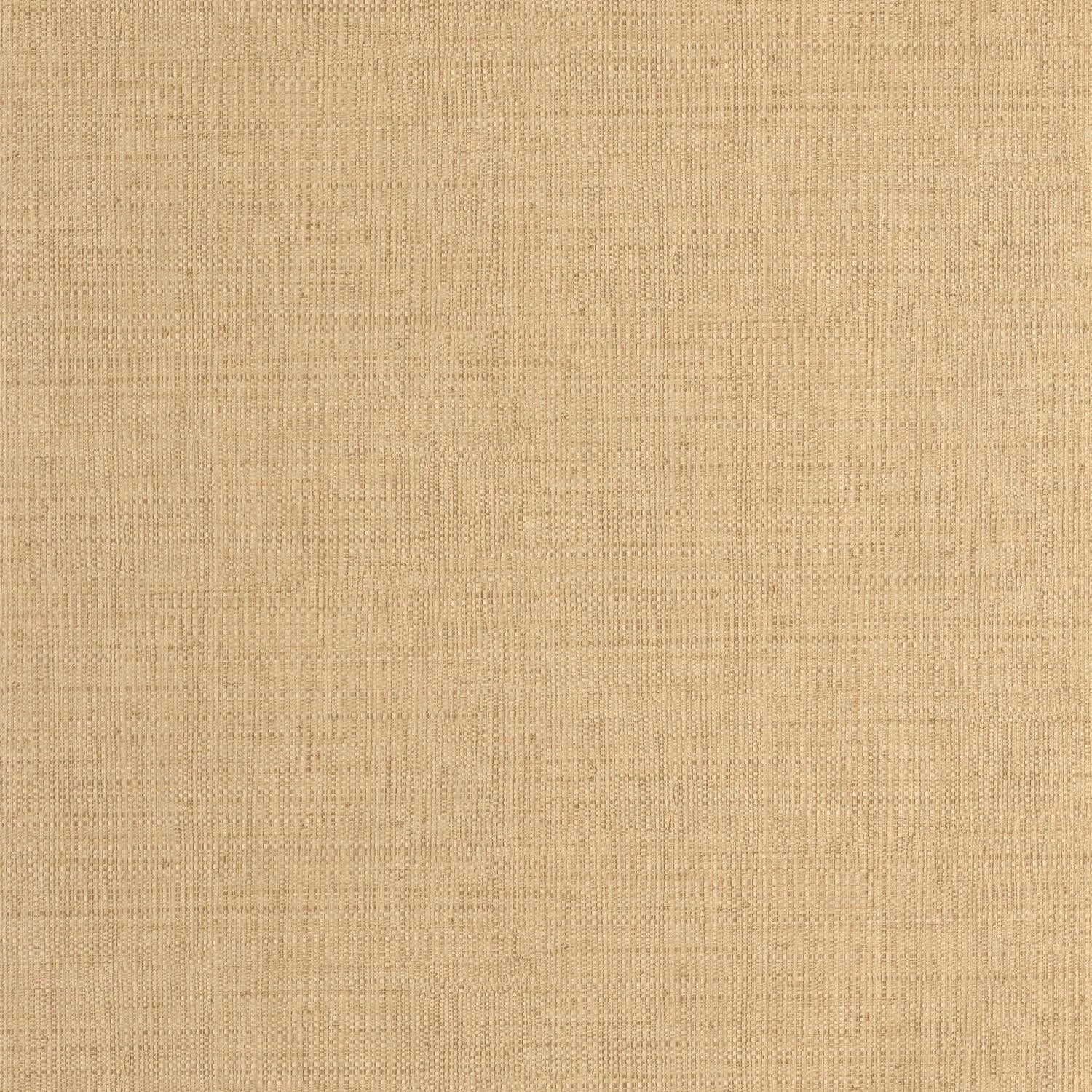 SYM105971245 Raphia Symphony Wallpaper by Caselio