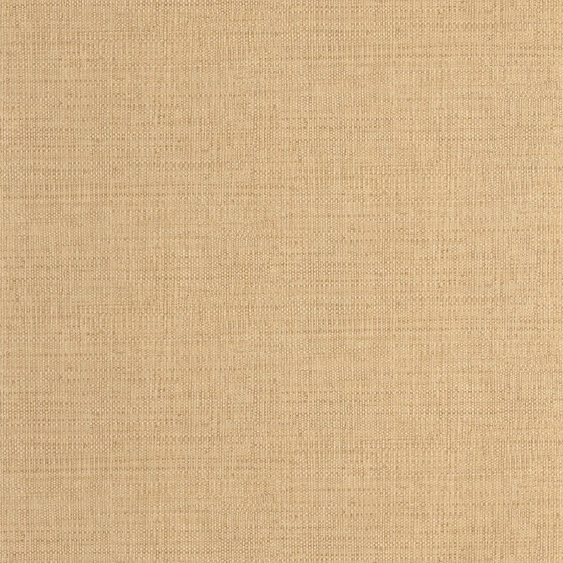 SYM105971245 Raphia Symphony Wallpaper by Caselio