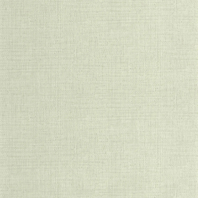 SYM105977000 Raphia Symphony Wallpaper by Caselio