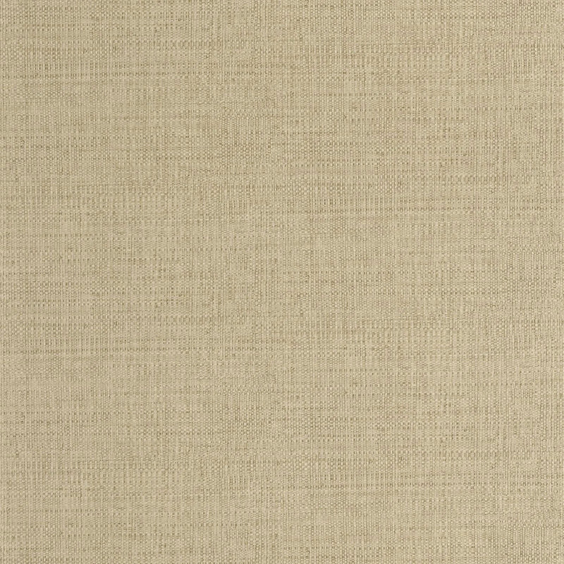 SYM105977170 Raphia Symphony Wallpaper by Caselio