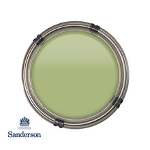 Artichoke Sanderson Paint