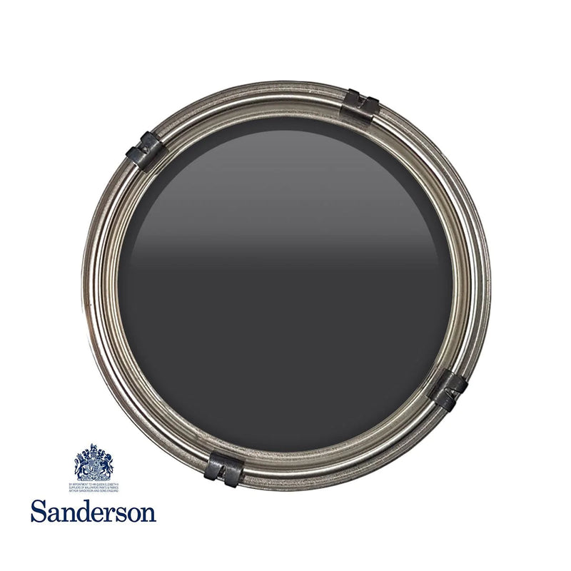 Burn Black Light Sanderson Paint