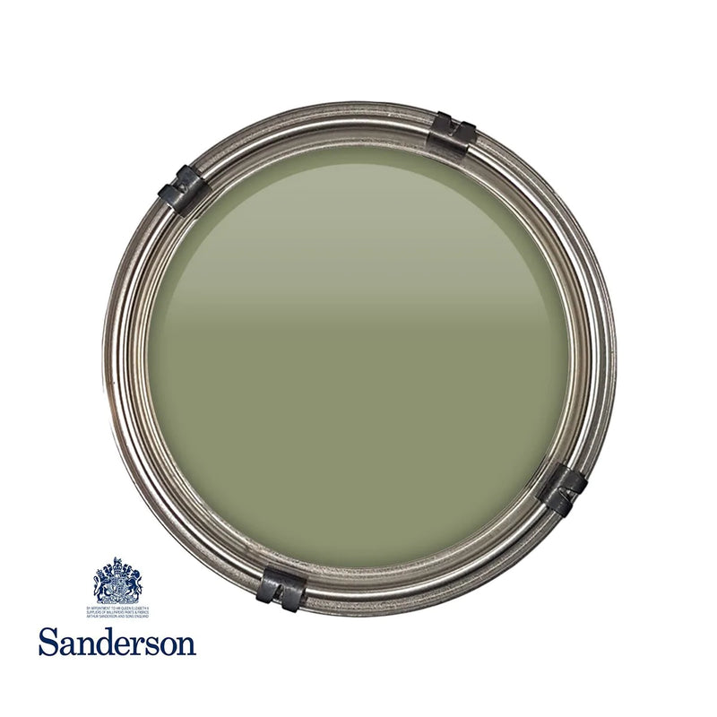 Canopy Green Sanderson Paint
