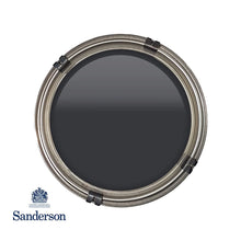Carbon Sanderson Paint