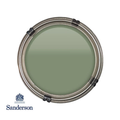 Active Emulsion 2.5L Devon Green Sanderson Paint