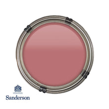 Fire Pink Sanderson Paint