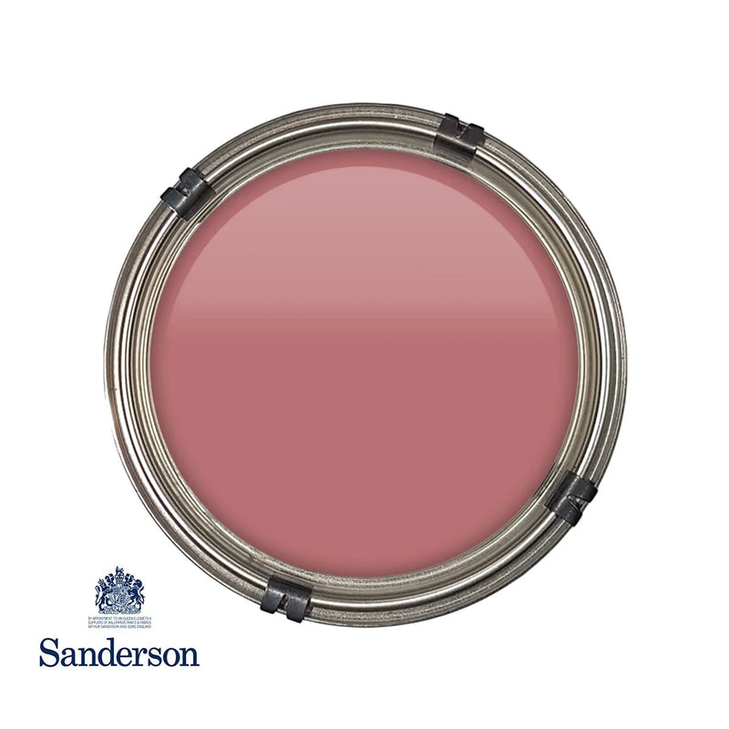 Fire Pink Sanderson Paint