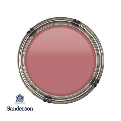 Active Emulsion 2.5L Fire Pink Sanderson Paint