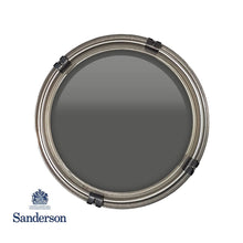 Graphite Sanderson Paint