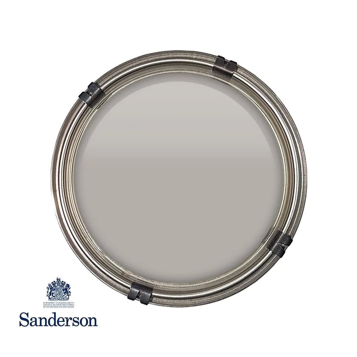 Grey Squirrel Sanderson Paint