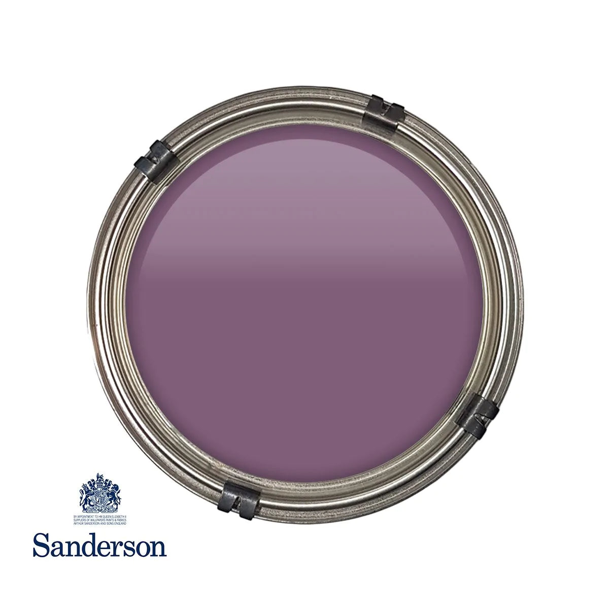 Meadow Violet Sanderson Paint