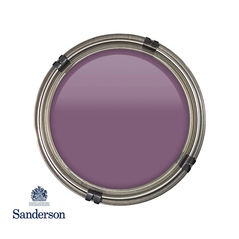 Meadow Violet Sanderson Paint