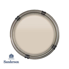 Mushroom Grey Light Sanderson Paint