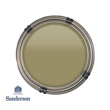 Oxney Olive Sanderson Paint