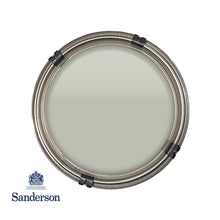 Sage Grey Sanderson Paint