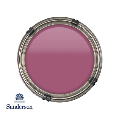 Active Emulsion 2.5L Wild Plum Light Sanderson Paint