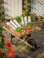 NPOP113406 Ditsy Daisy Denim Wallpaper by Scion