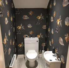 111648 Kamanu Anthozoa Wallpaper By Harlequin