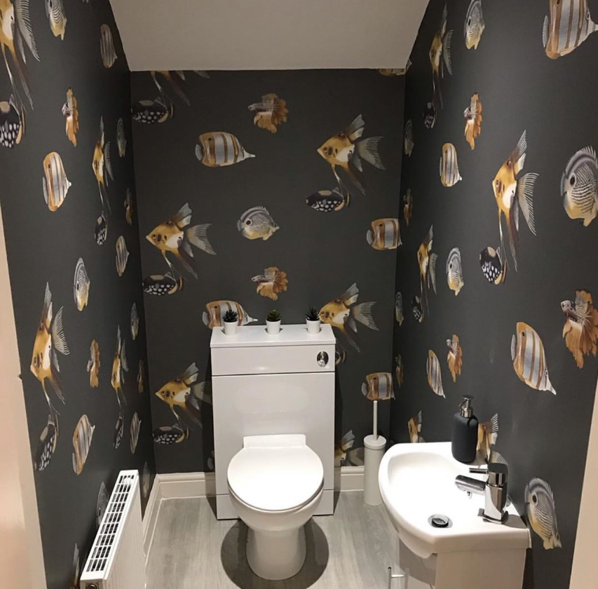 111648 Kamanu Anthozoa Wallpaper By Harlequin