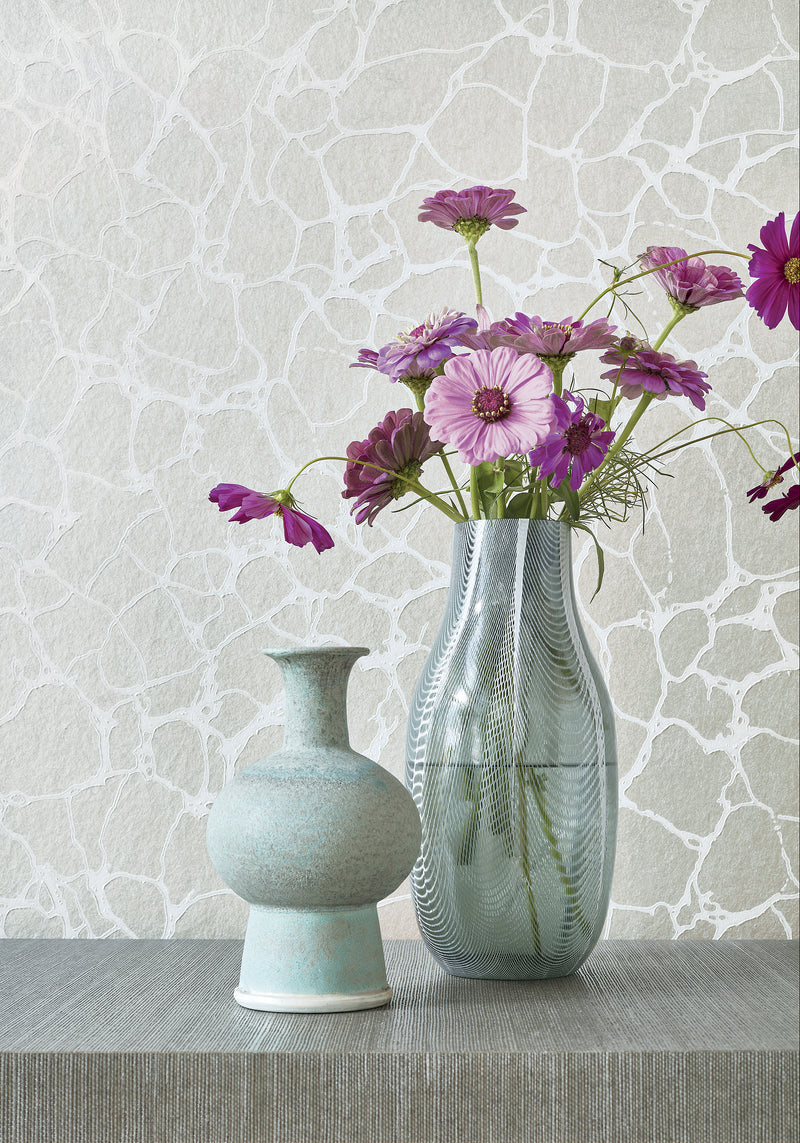 Amato Surface Resource Wallpaper By Thibaut | T4019