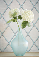 Easom Trellis Surface Resource Wallpaper By Thibaut | T4053
