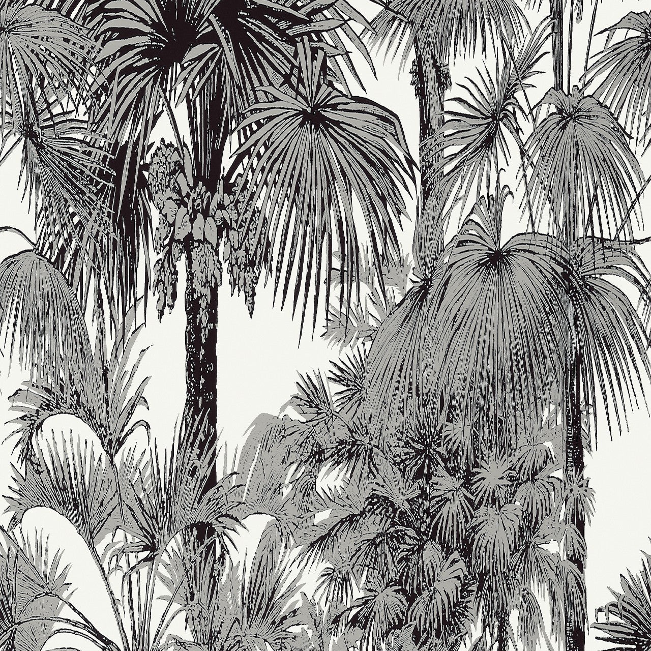 T10102 Palm Botanical Tropics Wallpaper By Thibaut